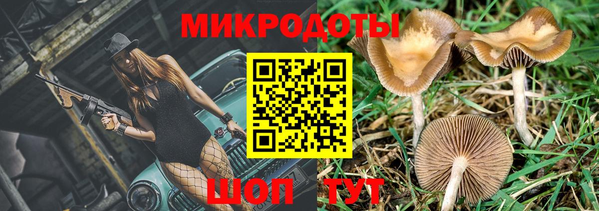 Галлюциногенные грибы Cubensis  Вход с VPN  Псилоцибиновые грибы MAGIC MUSHROOMS  Ленинск-Кузнецкий 